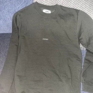 Sweatshirt från Ciszere - Sweatshirt i grönt från Ciszere i medium. Oanvänd. 