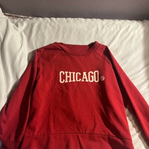 Sweatshirt  - Tröja från ONLY. Är I storlek M men sitter tajt tycker jag