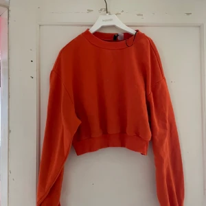 Sweatshirt  - Ok skick vad jag ser priset är absolut diskuterbart och har du funderingar så tvecka inte på att höra av dig🥰