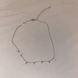 Halsband  - Har använt typ 2 gånger 