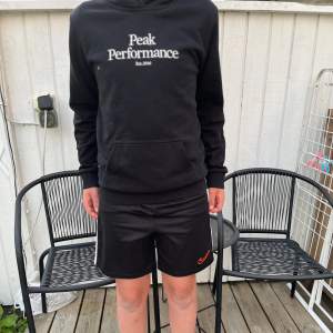 Snygg peak performance tröja, använd fåtal gånger,bra skick ungefär 8/10.  Stl 160. Kontakta mig om du har frågor 