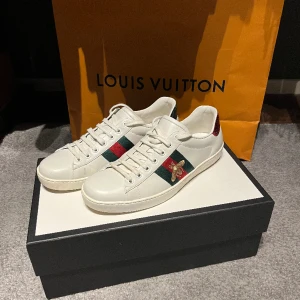 Gucci Sneaker  - Säljer mina Gucci skor. Dem är ungefär 9/10 i skick, riktigt bra skick. Box och dustbag medföljer. Pm för fler bilder.