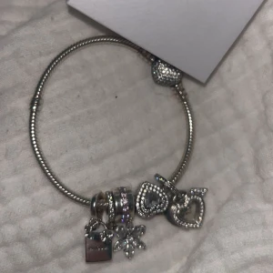 Pandora armband - Om ni är intresserade på att köpa hela armbandet och berlockerna till blir det 2850 + frakt annars kolla profil för att köpa inviduelt.🎀
