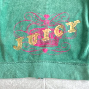 Juicy Couture hoodie - Mintgrön hoodie från Juicy Couture, inköpt i New York för ca 15 år sedan. Använd men fortfarande i bra skick, har några fläckar på ena ärmen som jag inte har testat att tvätta bort. 