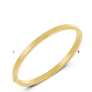 Snyggt guldigt armband från Edblad! Nypris 599kr mitt pris 350kr 