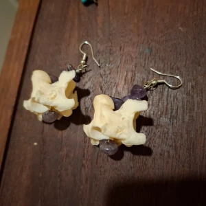 Örhängen med orm kotor - Örhängen med orm kotor och ametist stenar 