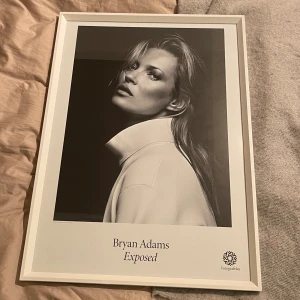 Fotografiska poster + glass, wood frame  - Poster costed 349 kr original price and frame 700 kr. Selling for cheap❤️❤️ perfect condition!!