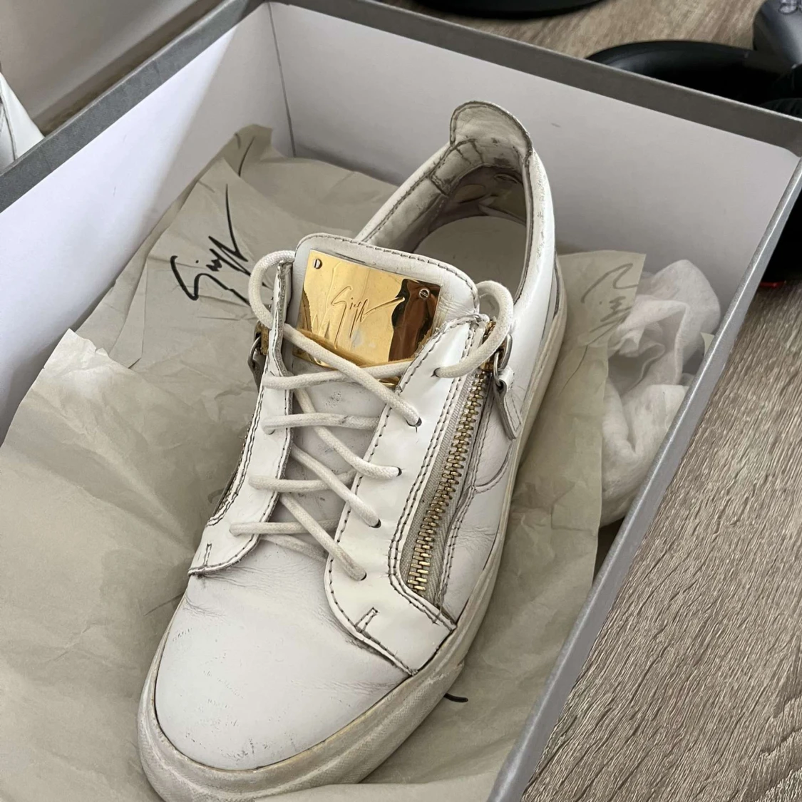 Giuseppi zanotti - 91