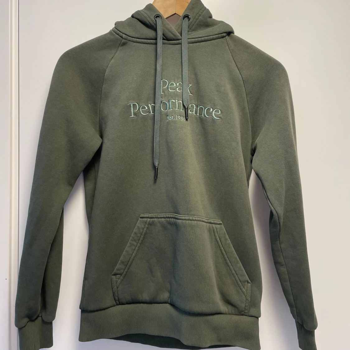 Peak Performance Hoodie