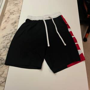 Säljer mina Nike basket shorts då de inte passar mig. De har nästan aldirg använts och var köpta för cirka 6 månader sen. 