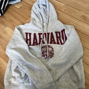 Grå Harvard hoodie i storlek XS från h&m