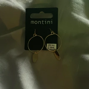 Örhängen  - Aldrig andvända 