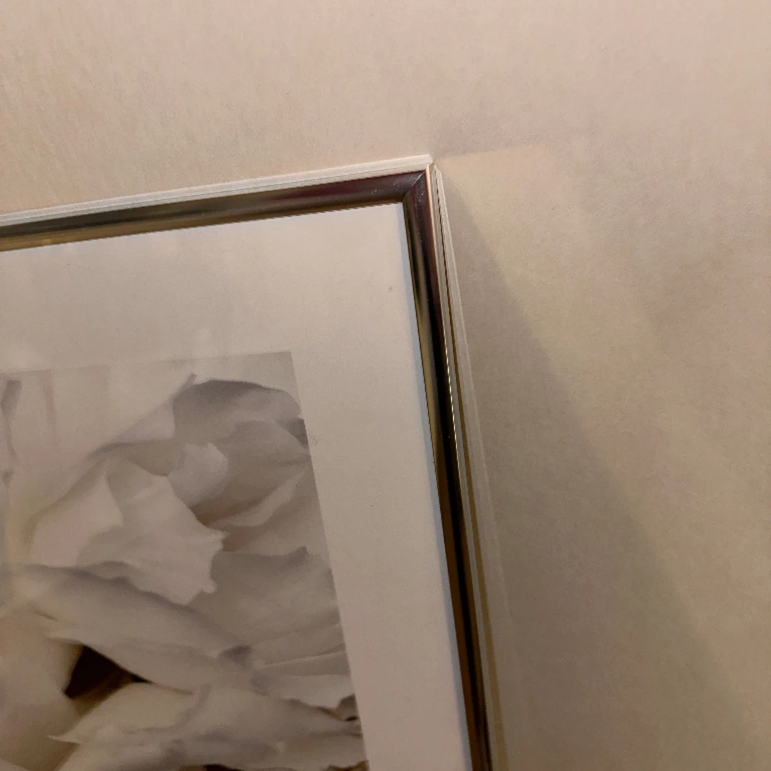 Ramar i guld och silver 50x70 - 90