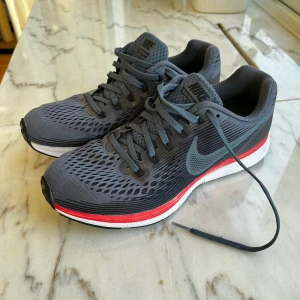 Nike Zoom Pegasus 34 - Sparsamt använda. Hela och fina i tyget.