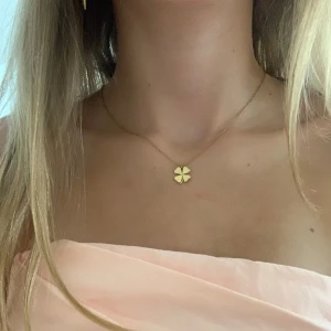 Edblad halsband!! - Ett jättefint Edblad halsband💓Inga tecken på användning, jag har bara använt det några gånger. Skriv om ni har frågor!! Köpt för 349kr, pris går att diskutera❤️