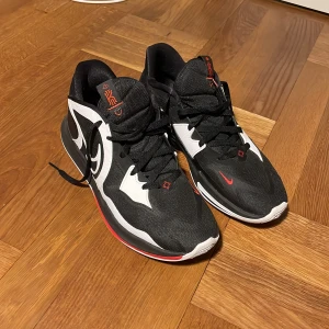 Nike Kyrie 5 Low Basketskor - Nyskick. Använda 2 gånger. Ville börja basket men var inte för mig. Nu har de bara legat i garderoben ett bra tag så jag känner att det är dags att sälja. Storleken på skorna är 44,5 är true to size. Vänligen har av dig ifall du har några frågor!🤗
