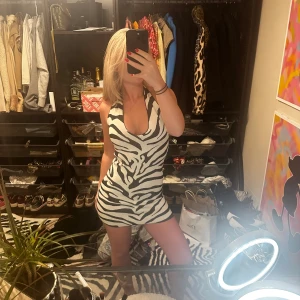 Zebra klänning - Helt ny zebra klänning från Gina tricot, storlek S