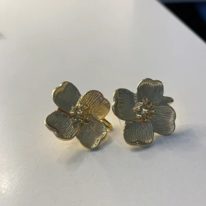 Örhängen - Rostfria örhängen:)