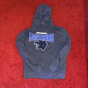 College hoddie - Grå blå college hoddie springboro panthers, väldigt bra skick i storlek s/m