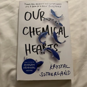 Our chemical hearts  - Our chemical hearts 