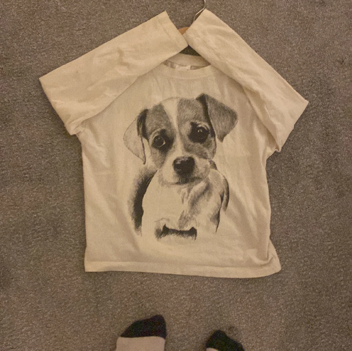 Jätte fin hund tröja  - 90