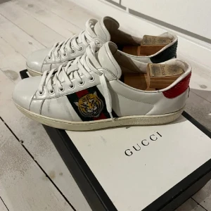 Gucci Ace - Riktigt feta skor | Skick 7/10 skick. Kommer med defekter som crease och annat vanligt slitage som ändå kommer snabbt vid använding | Passar 43-44 | Pris diskuteras!