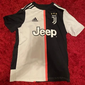 Juventus tröja  - Strorlek smal lite smutsig men tvättar den innan jag skickar betalar ej för frakten använd två gånger 
