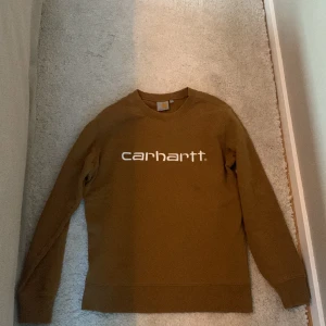 Vintage CarHartt Tröja - Vintage CarHartt tröja. Skick 8/10 finns ett litet hål på högra ärmen (syns på bild) Skriv i DM för fler bilder eller frågor
