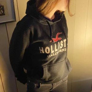 Hollister hoodie - Osäker på storlek då lappen klippts bort men passar S, Lite nopprig
