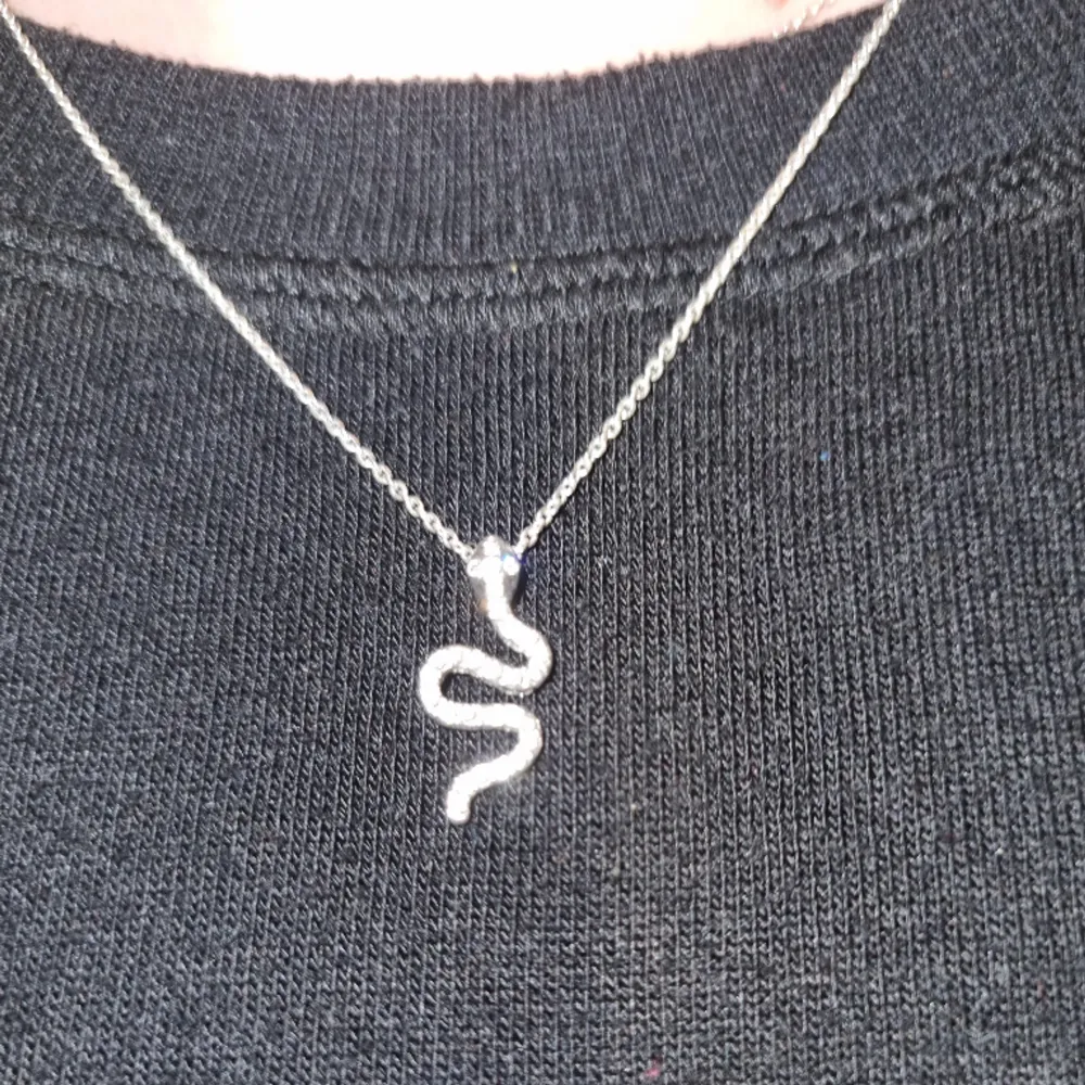 Ett jätte gulligt silvrigt halsband med en orm på. Säljer på grund av att den aldrig används💞. Accessoarer.