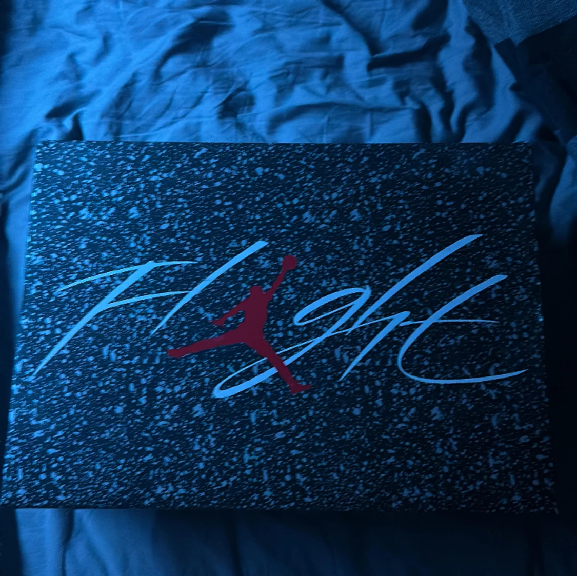  Nu ska jag sälja min använda skor Jordan fyra Military blacks som jag har köpt i merch sweden så det är par äkta skor som kostar nu i Sneakersy för 6299kr för storlek 43  - 90