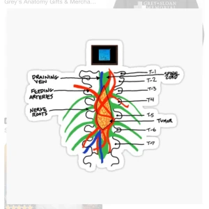 Greys Anatomy Merch - Greys merch!!! 👩🏼‍⚕️💉 Bild 2 & 3 är bara för att förtydliga trycket. (Hittade inte bild på exakt den jag har på internet🤓)  📣 Bild 2 är den jag säljer! 📣  Fiiint skick!!!!