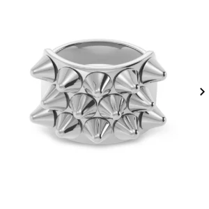 Edblad ring - Säljer min Edblad ring i silver strl 16.00 då jag vill byta till guld smycken❤️ om någon har denna i guld strl 16.00 eller 16.8 hör gärna av dig💕 