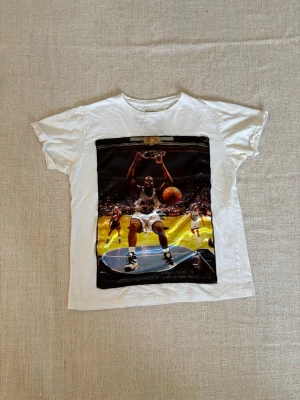 Bastille T-shirt  - En snygg tröja som det egentligen inte är några större konstigheter med utöver små glimtar av svettfläckar. Något som jag tror kan gå bort med rätt medel men utöver de en sjukt cool tröja. Hör av er vid ytterligare frågor. Tveka inte att slå till för detta fyndpris!