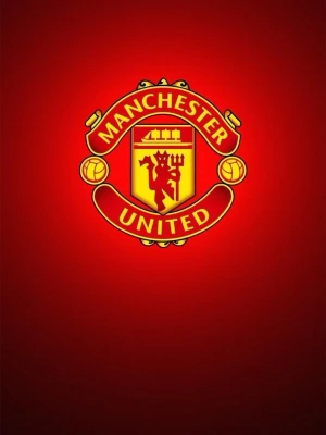 5 randomly selected Manchester united cards. Atleast 3 guaranteed special cards - 5 Man United fotbollskort som är slumpvis utvalda. Garanterat minst 3 special kort. Perfekt för ett United fan som samlar på kort eller bara vanliga samlarna som är ute efter att utöka sin samling!
