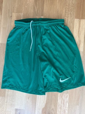 Gröna Nike Dri-FIT träningsshorts - Säljer ett par gröna träningsshorts från Nike med Dri-FIT-material som håller dig torr under träningen. Shortsen har resårmidja med vit dragsko och en vit Nike-logga på benet. Perfekta för gymmet eller löpning. Sista bilden visar färgen som bäst!