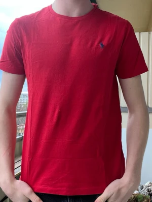 Ralph Lauren T-shirt  - Helt nya Ralph Lauren T-shirts i olika färger och storlekar, perfekta till sommaren. Nypris 1000kr  Rabatt vid köp av fler! 2 för 450 (spara 50kr) 3 för 550 (spara 200kr) 4 för 600 (spara 400kr)  Modellen på bilden är 190 och väger 85 men de är tts så välj den storlek ni brukar ha. 