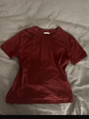 Vinröd T-shirt - Vinröd T-shirt från Zara, fint skick!