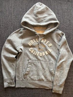 Hollister hoodie - sällsynt  - Säljer en sällsynt och eftertraktad hollister hoodie skick 9/10 | st M | passar perfekt nu till våren | Obs jag kan gå ner i pris vid snabb affär, vid eventuella frågor hör av er 😊🙌 
