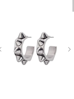 Silver edblad örhängen  - Silver örhängen för Edblad för 250kr. Köpt för 400kr. Det har inga skador och rengörs innan skickning. Frakten blir mellan 20-50kr. 