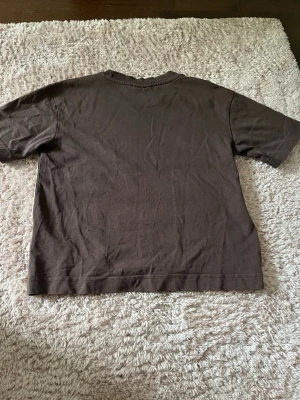 Brun basic t-shirt från Gina Tricot - En enkel brun t-shirt från Gina Tricot, basically basics-kollektionen. T-shirten har korta ärmar, rund halsringning och är gjord i mjuk bomull. Perfekt till alla outfits och superenkel att styla. T shirten är andvänd förut men har inga tecken på slitage