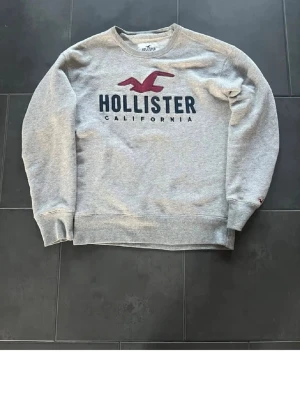  Hollister sweatshirt - Säljer min hollister sweatshirt då jag inte använder den längre. Den är i fint skick, inga defekter. 