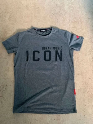Grå ICON t-shirt från Dsquared2 - Snygg grå t-shirt med svart text 'IBRAHIMOVIC ICON' på framsidan och en stor svartvit bild samt DSQUARED2-logga på ryggen. T-shirten har korta ärmar och rund hals. Perfekt för dig som gillar streetwear och sportiga vibes.