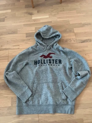 Hollister hoodie - Vintage hollister hoodie 