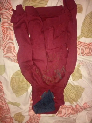 Vinröd hoodie med blå detaljer - Säljer en vinröd hoodie från Lonsdale med blå snörning och detaljer på huvan. Tröjan har en stor magficka och tryckt logga på framsidan. Perfekt för dig som gillar streetwear och vill ha något bekvämt och snyggt.