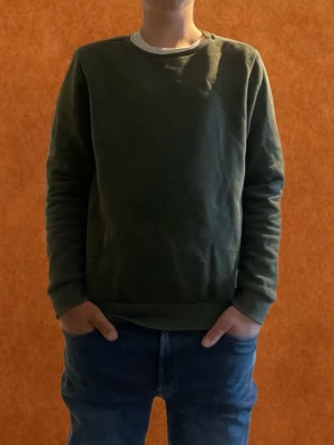 Grön tröja från Andy by Frank dandy - Säljer en grön tröja från Frank Dandy i storlek S perfeckt för en snygg varm outfit mitt pris 200 skriv vid funderingar 