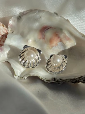 Silverfärgade snäckformade örhängen - Snäckformade stud örhängen i äkta silver, allergivänliga, vattentåliga och lätta 🌊☀️🐚