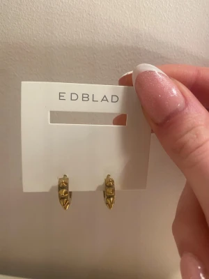 Guldiga örhängen från Edblad - Coola små hoops i guldton från Edblad med nitar runt hela örhänget. De är tillverkade i metall och har en edgy design som sticker ut. Perfekta för dig som gillar detaljer med attityd och vill addera lite edge till din stil.