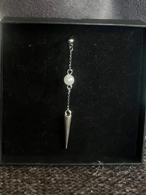 Silverörhänge - Ett silverörhänge som även finns att köpa i par så kolla mina andra annonser! Det är rostfritt stål.