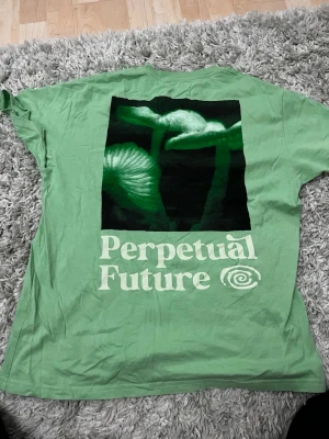 Grön Perpetual Future t-shirt - Snygg grön t-shirt från Perpetual Future med tryck av gröna svampar och stor text på ryggen. Framsidan har en liten logga med texten 'Perpetual Future'. Klassisk passform och rund hals. Perfekt för dig som gillar coola prints och streetwear vibes.